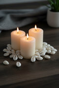 White Kaudi Shells