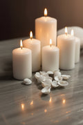 White Seashells