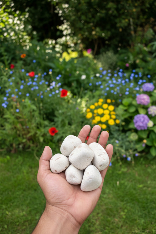 rough pebbles