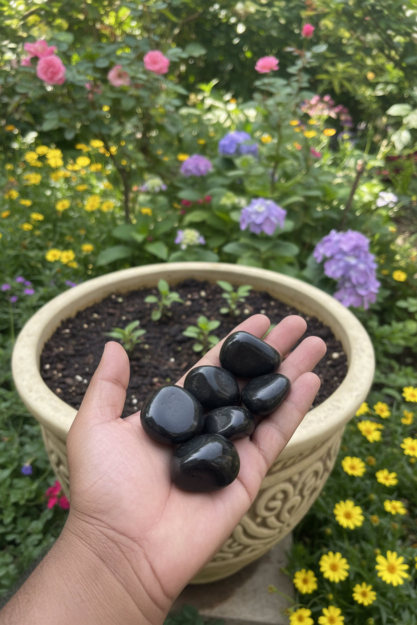 Black Polished Pebbles