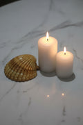 Natural Golden Seashell