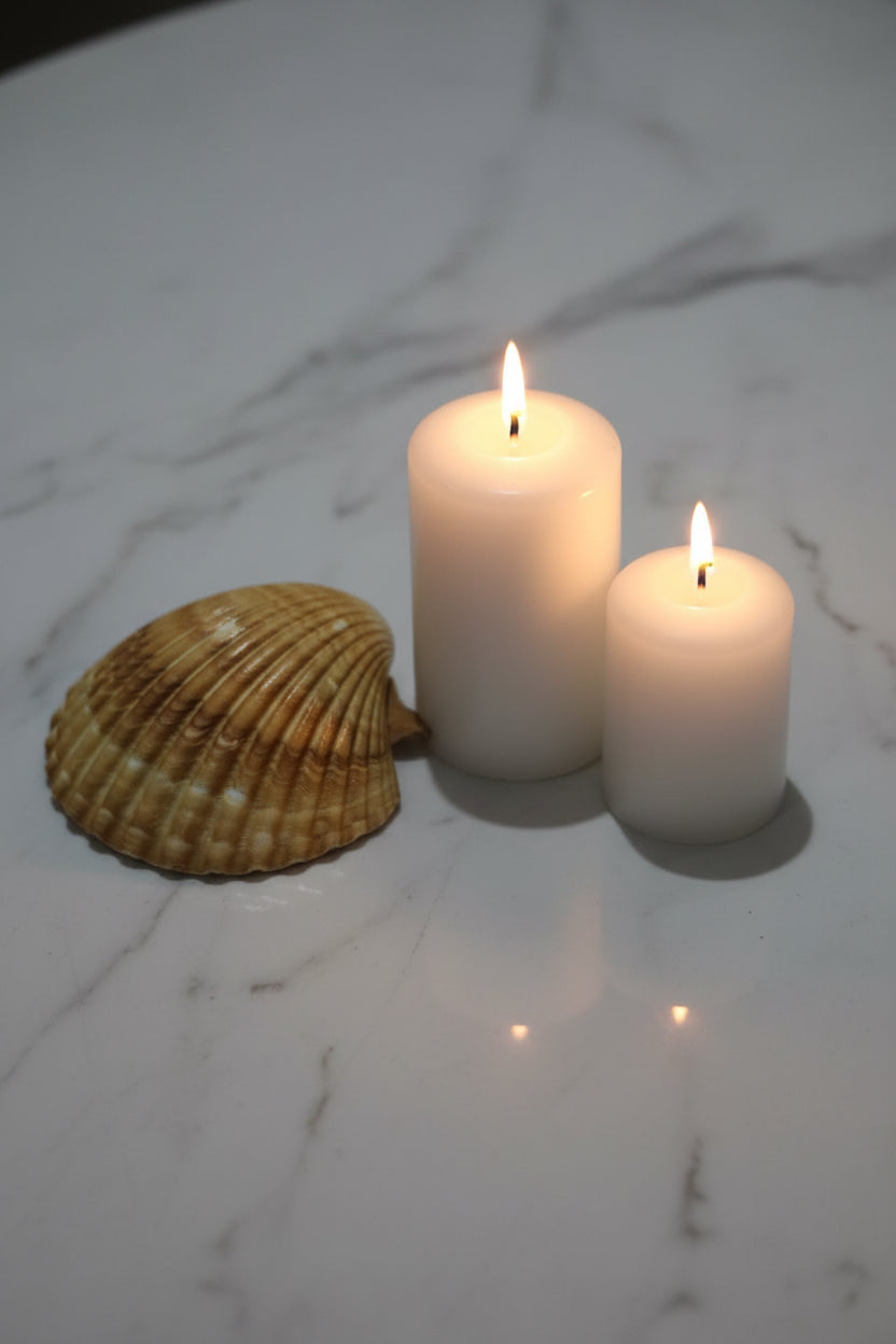 Natural Golden Seashell