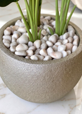 Pale White polished pebbles