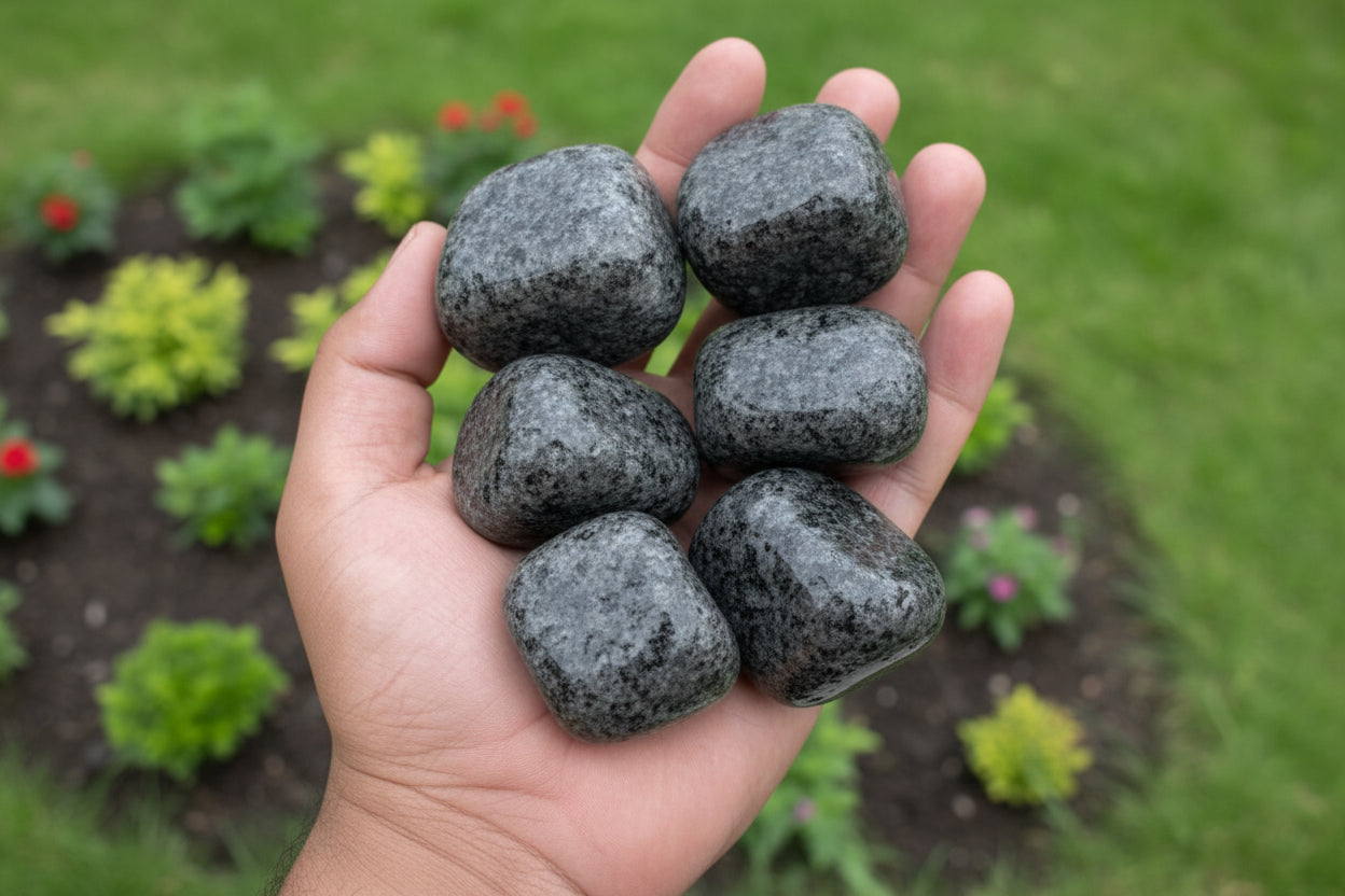 rough pebbles